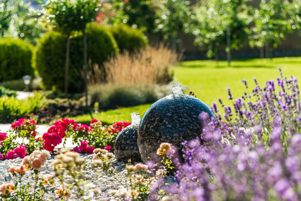 Jardin paysager extérieur avec aménagement végétal diversifié