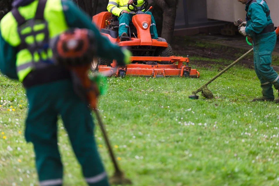 Trois paysagers en uniforme tondent et nettoient une pelouse verte avec des équipements de pelouse, axés sur l'entretien et la verdure