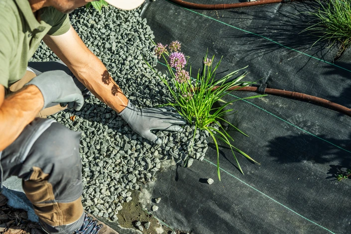 Photographie en couleurs naturelles d'un jardin paysager aménagé de manière professionnelle : au premier plan, une terrasse en bois composite ou pierre naturelle; au second plan, des plantations arbustives et florales harmonieusement disposées encadrant l'espace; en arrière-plan, une pergola bioclimatique aux lames orientables installée au-dessus d'une zone de détente, avec un ciel bleu clair. La scène doit transmettre calme, bien-être et un aménagement extérieur soigné et moderne, typique des réalisations d'une entreprise paysagiste de haut niveau.