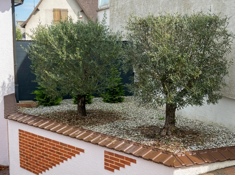 Clôture mixte moderne en extérieur combinant panneaux de bois horizontal en mélèze et gabions remplis de pierres concassées, maintenus par grillage métallique galvanisé