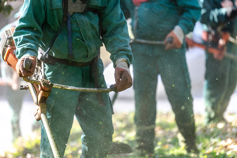 Scène extérieure d'automne : ouvrier paysagiste utilisant un souffleur à dos pour rassembler des feuilles mortes dorées sur pelouse verte