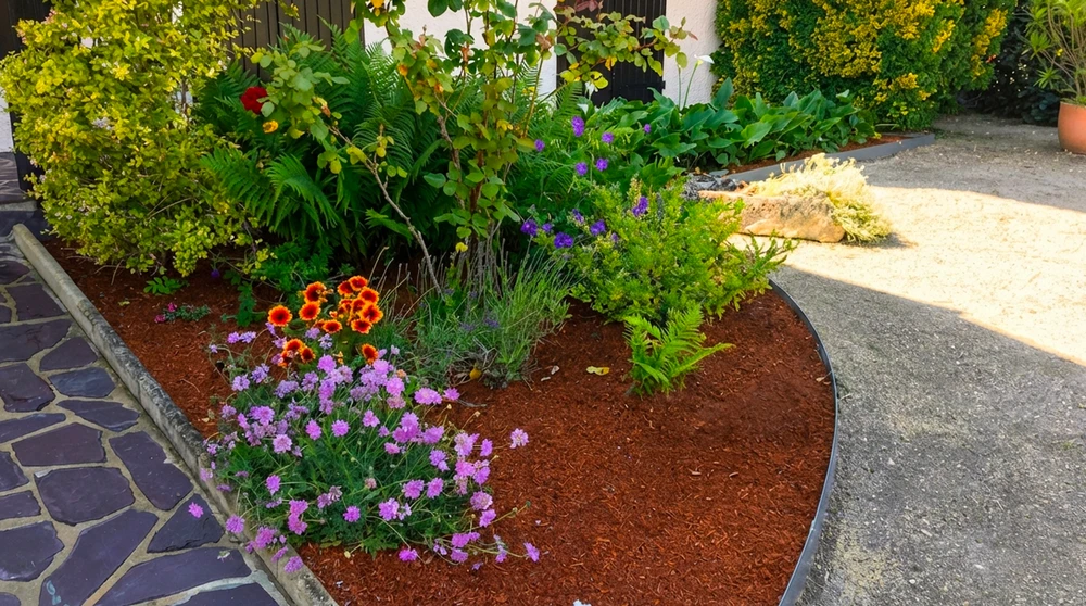 Scène extérieure, jardin urbain