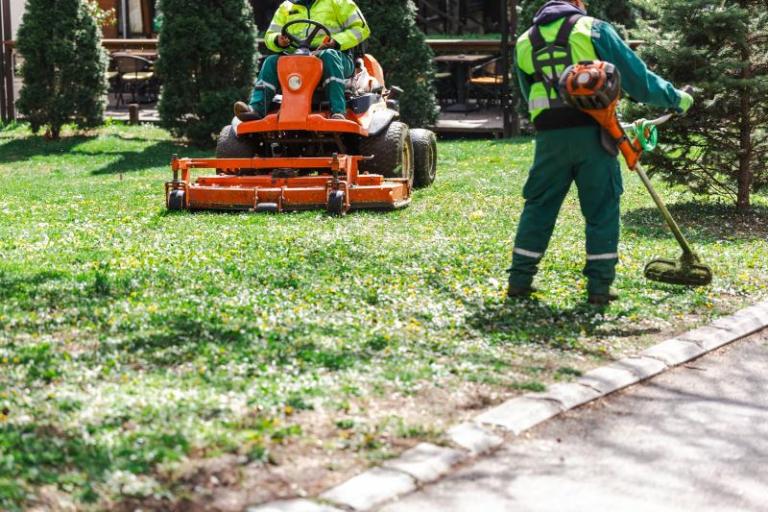 7 conseils pratiques pour optimiser l'entretien de vos espaces verts