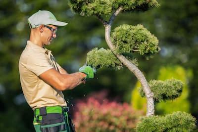 Les étapes essentielles pour réussir l'aménagement de votre jardin